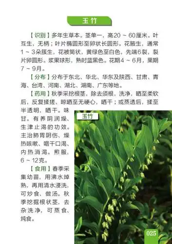 500种野菜野外识别速查图鉴