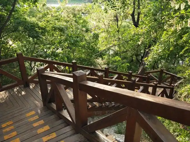 这是登山木栈道,走进山,距离感受山林之美,莺飞燕舞,花香沁人心脾.