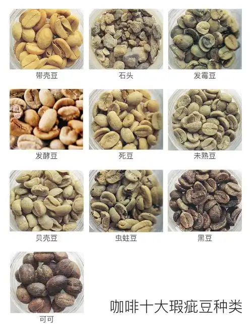 精品咖啡豆你懂,那瑕疵豆你知道吗?