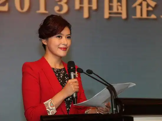 图文:北京电视台新闻节目主持人西鸥