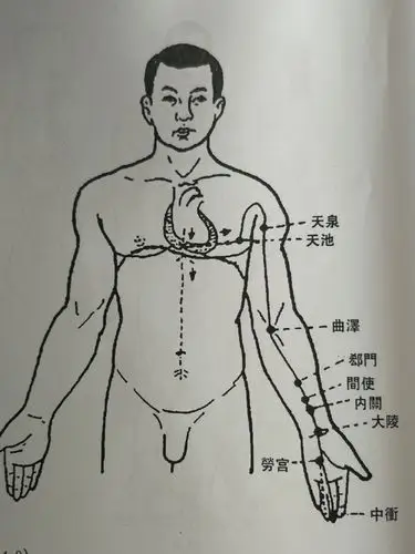 十二经脉的循行——(手厥阴心包经)