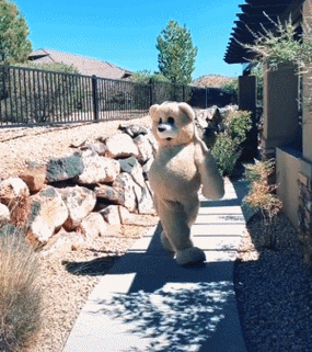 最会扭屁屁的熊火了今年最野的表情包聊天斗图我再也没输过