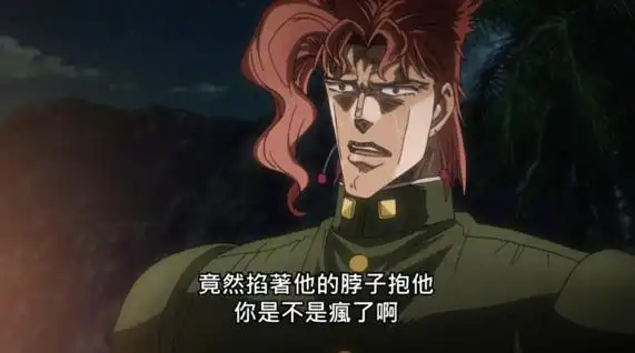 jojo关于花京院典明的人物分析