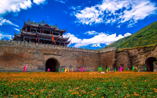 中国松潘"重塑百年威尔逊之路"暨黄龙兰花节