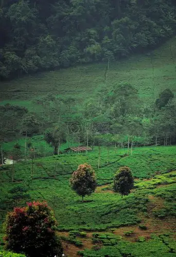 苍翠的群山重重叠叠
