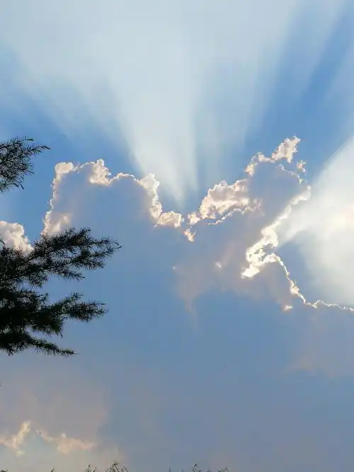 兴隆公园风景优美,伏天炎热的夏天,随拍照片.2018.7.21.高鹤珍制作.