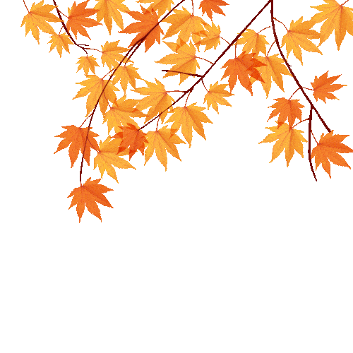 500_500gif 动态图 动图