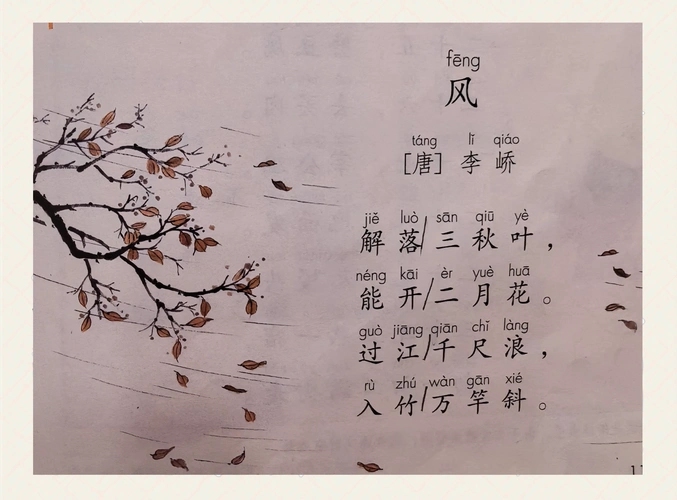 陪孩子一起读《风》:感受大自然的威力