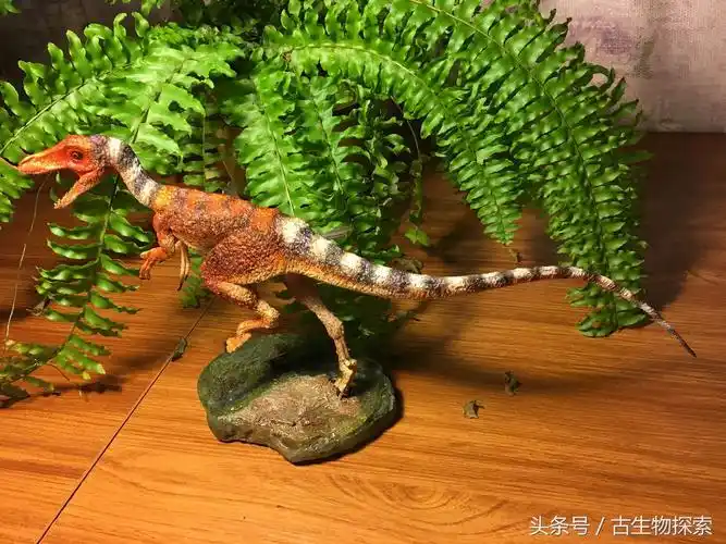 中华龙鸟(中国百年十大恐龙---中华龙鸟)