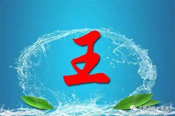 王姓成全球第一大姓王姓的全国分布