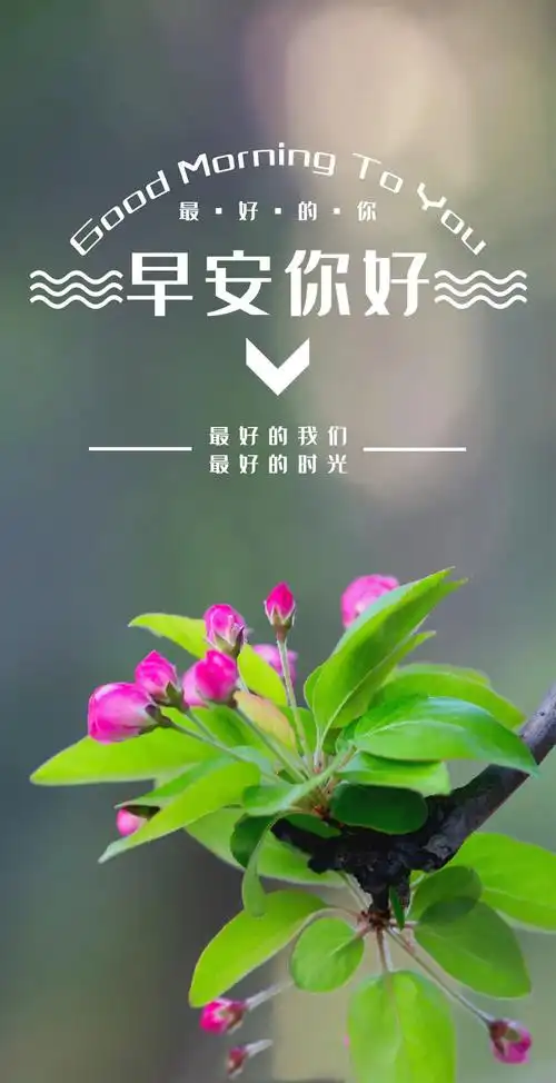 新的一天早安正能量语句最美早上好图片带字正能量