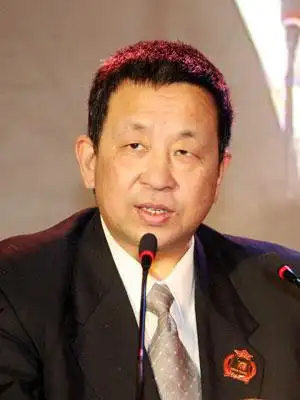 图文:中国保险学会副会长姚鸿