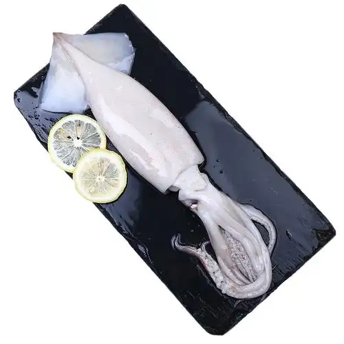 新鲜大鱿鱼章鱼整条二斤左右共五斤烧烤火锅食材超大鲜活冷冻尤鱼