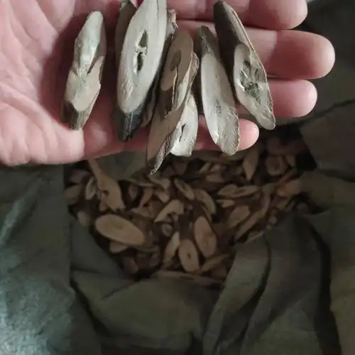 5 中药材初级农产品 1000克【图片 价格 品牌 报价】-京东