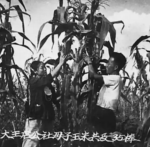 大跃进时期罕见照片很珍贵很严肃
