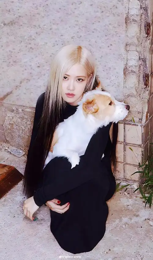 朴彩英新发色##朴彩英圣罗兰全球品牌大使