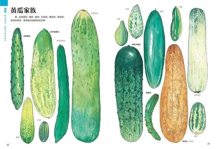ps 盛口满也出版过给成年人的自然科普《赶海·解剖·逛菜场》《如何