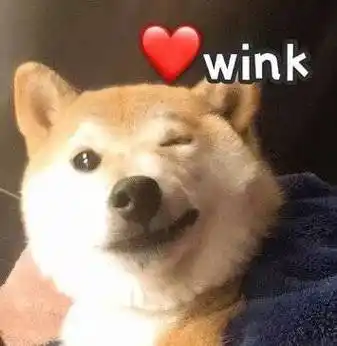狗子 wink_wink_狗子表情