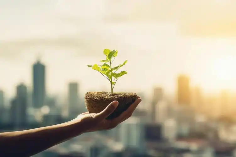 "双碳"目标最新调研:超七成专家相信中国可实现碳达峰目标|煤炭|碳达