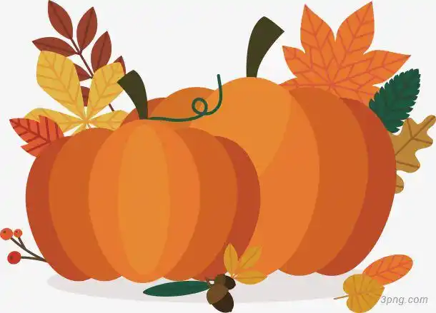 矢量手绘黄色南瓜png素材透明免抠图片-卡通手绘