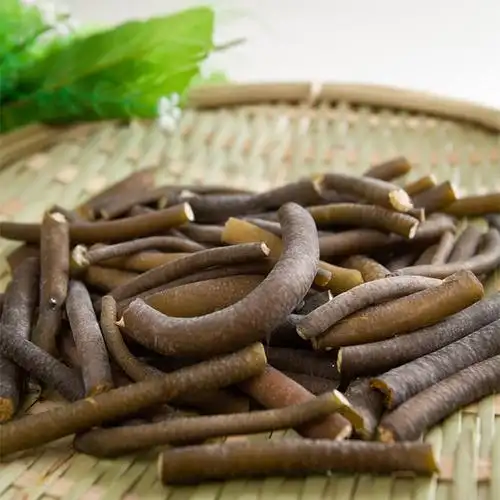 凉拌菜干货批发 海笋 干货 免邮 南极海笋 野生海笋海茸