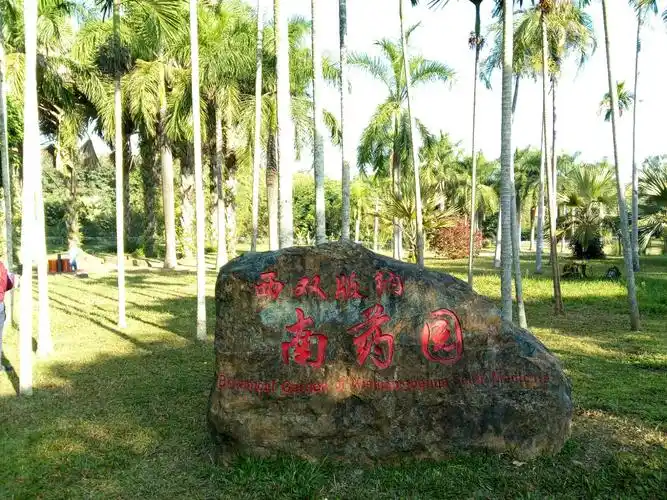 最高温度才28度,所以我们决定去南药园游玩,它亦是西双版纳药物研究所