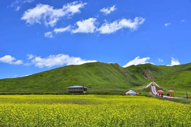 甘南自驾游之桑科草原——最美的风景永远在路上