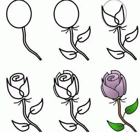 玫瑰花简笔画步骤 一步一步学画玫瑰花