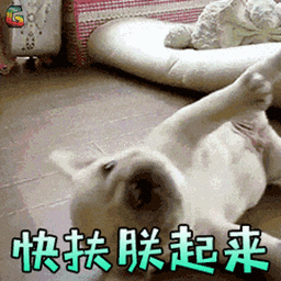 萌宠gif狗gif法斗gif搞怪gif快扶朕起来gifsoogifgifsoogif出品gif