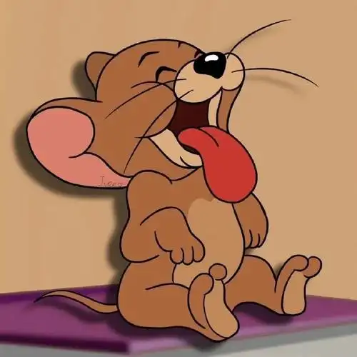 猫和老鼠是纪录片的证据