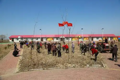 黑龙江佳木斯市采取有效措施 提升农村基层党组织为民服务效能