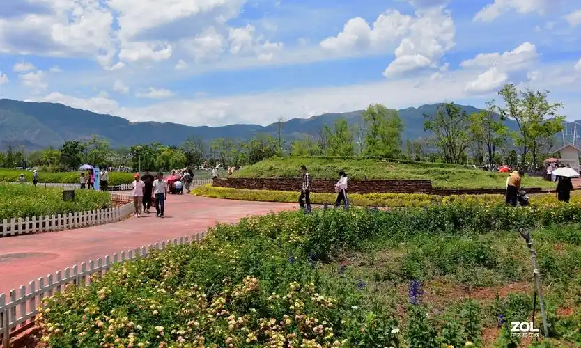 抚仙湖广龙小镇湖滨花海2