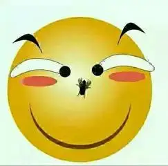 qq表情斗鸡眼搞笑雷人苍蝇gif动图_动态图_表情包下载_soogif