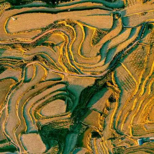 签约摄影师严保刚壮美黄土高原美丽画卷