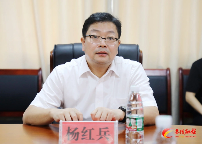 县委副书记,代县长杨红兵讲话