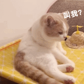 (套娃) - 斗图表情包 - 斗图达人