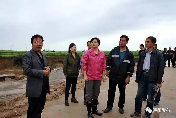 史洁在景尚乡视察受灾情况