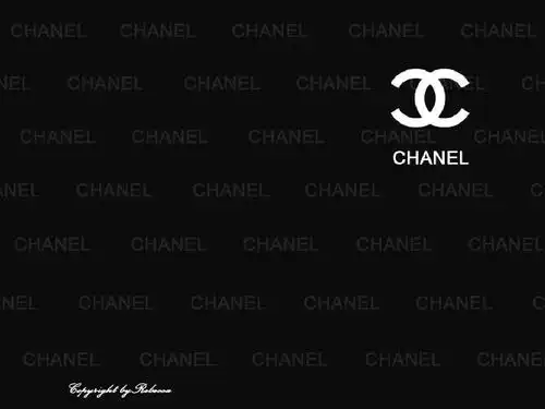 香奈儿的企业文化ppt