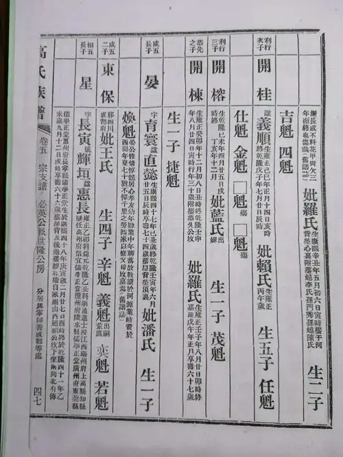 高氏族谱:五华转水高屋(长坳里)第一册