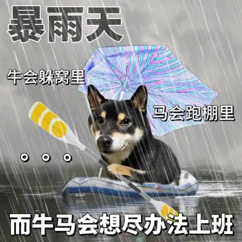 打工人下雨天上班表情包
