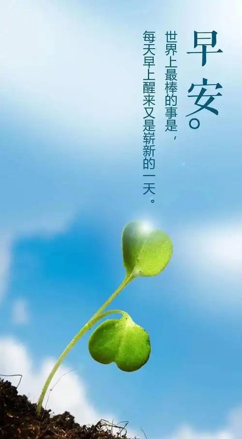 周一朋友圈正能量句子文案怎么写(周一朋友圈正能量句子经典)