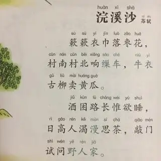 384浣溪沙簌簌衣巾落枣花苏轼