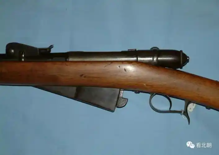 奇葩的管型弹仓步枪德国1871式毛瑟与意大利m1870鉴赏