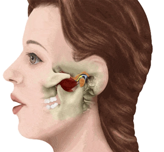 颞下颌关节紊乱病