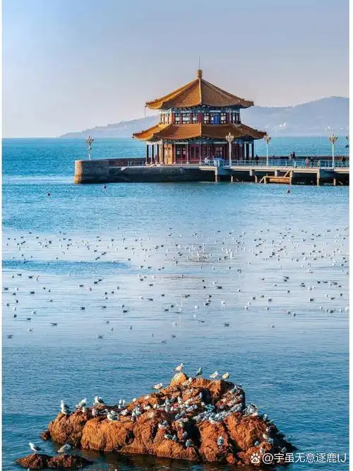 青岛栈桥:海边的浪漫之约94   99地址:青岛市市南区太平路 12 号