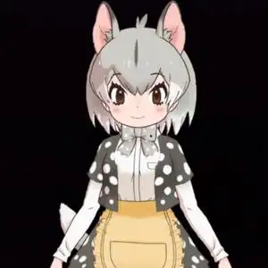 动漫cosplay 假发套 双色 短发 cos 兽娘动物园  猫头鹰 定制假毛