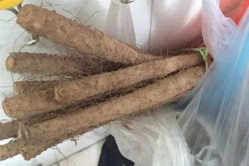 一口山药就让她食物中毒 如何辨别山药有毒没毒?