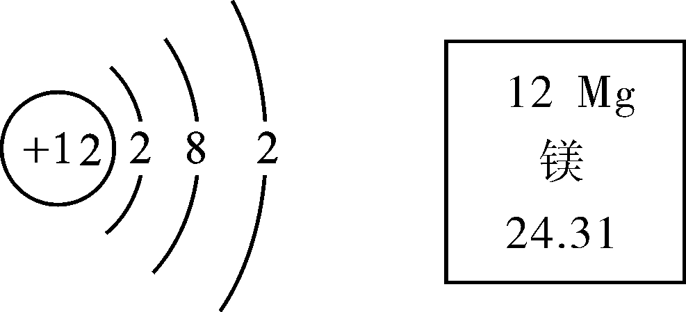 右图是镁元素在元素周期表中的信息和该原子的原子结构示意图.