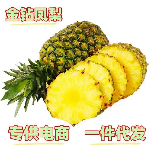 一件代发 海南金钻凤梨热带当季新鲜现摘水果8斤手撕凤梨非菠萝