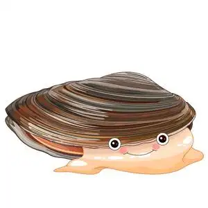 可爱的卡通贻贝矢量插画照片